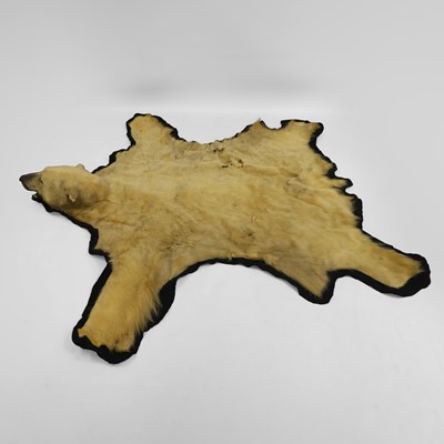Lot 352 - Taxidermy: a polar bear (Ursus maritimus) taxidermy rug