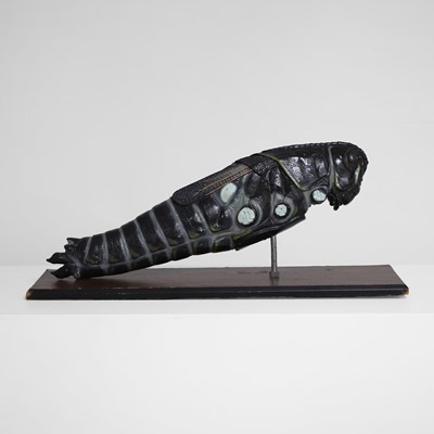 Lot 325 - An anatomical locust model
