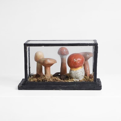 Lot 326 - A model of five fungi