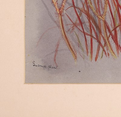 Lot 91 - Edith Fenton (New Zealand, 1862-1936)