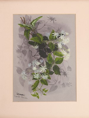 Lot 91 - Edith Fenton (New Zealand, 1862-1936)