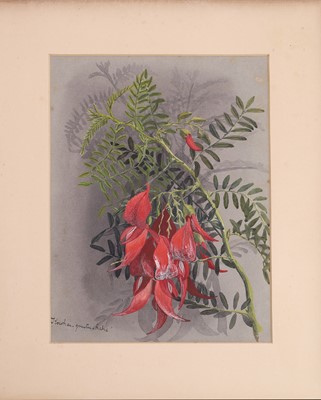 Lot 91 - Edith Fenton (New Zealand, 1862-1936)