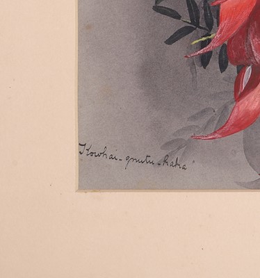 Lot 91 - Edith Fenton (New Zealand, 1862-1936)