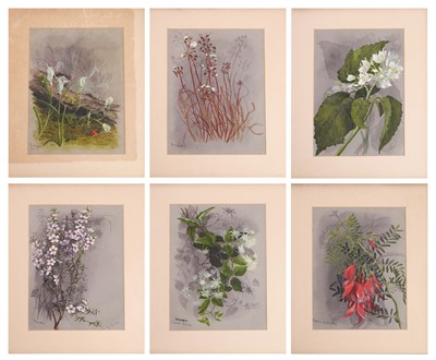 Lot 91 - Edith Fenton (New Zealand, 1862-1936)