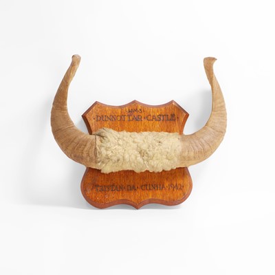 Lot 252 - An HMS Dunnottar Castle mounted ram horns