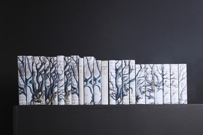 Lot 352 - A large collection of decoratively bound books