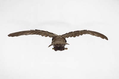 Lot 420 - A bronzed-metal owl ceiling light