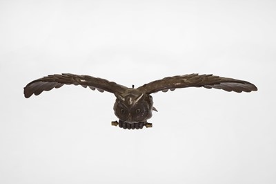 Lot 420 - A bronzed-metal owl ceiling light