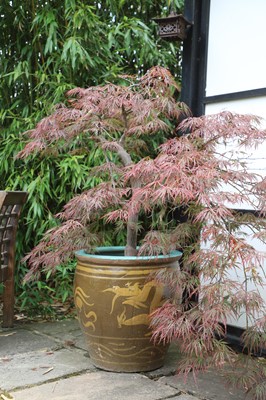 Lot 492 - A series of four modern Chinese glazed planters