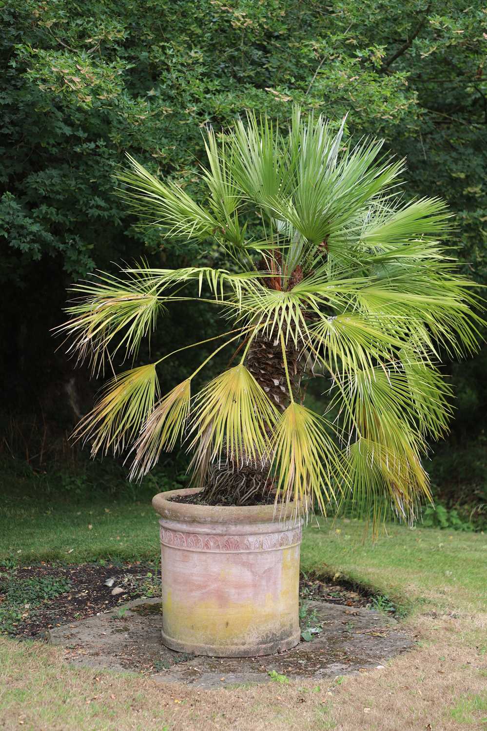 Lot 505 - A modern Toscana terracotta urn