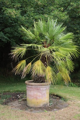 Lot 505 - A modern Toscana terracotta urn