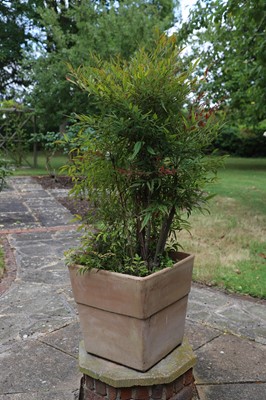 Lot 504 - A modern terracotta square planter