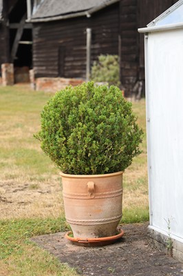 Lot 509 - A pair of modern terracotta urns