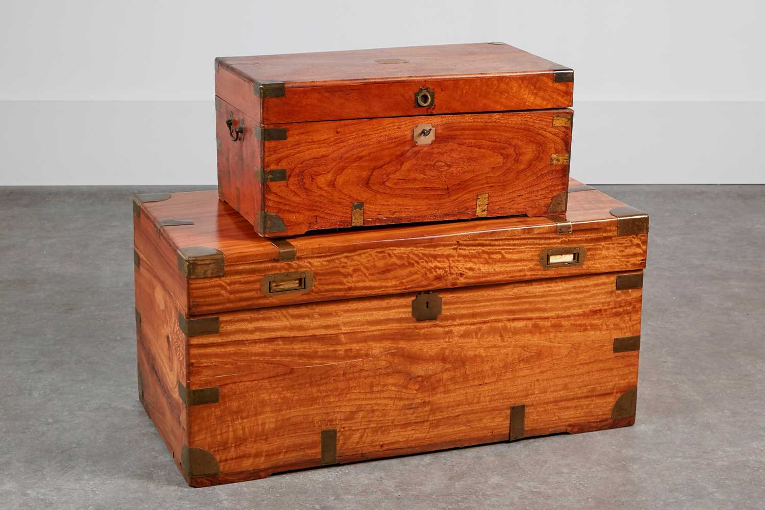 Lot 164 - Two camphorwood trunks