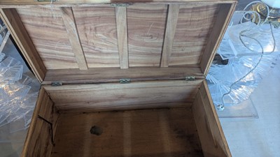 Lot 164 - Two camphorwood trunks