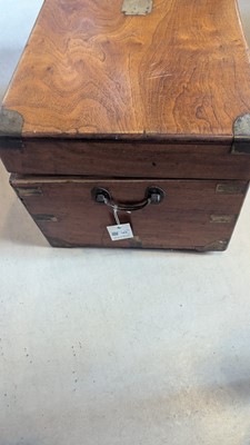 Lot 164 - Two camphorwood trunks