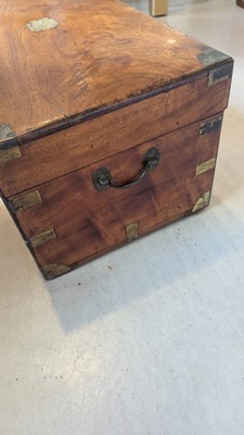 Lot 164 - Two camphorwood trunks