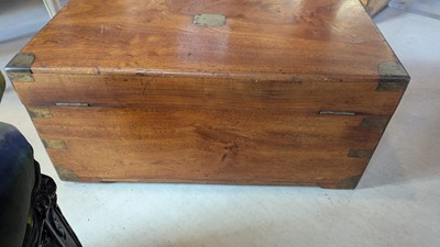 Lot 164 - Two camphorwood trunks