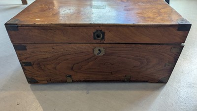 Lot 164 - Two camphorwood trunks