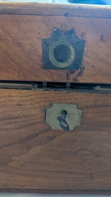 Lot 164 - Two camphorwood trunks