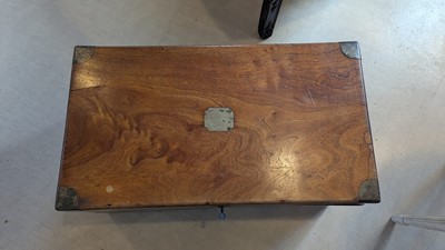 Lot 164 - Two camphorwood trunks