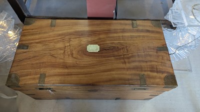 Lot 164 - Two camphorwood trunks