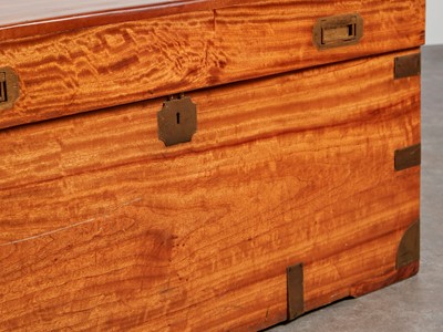 Lot 164 - Two camphorwood trunks
