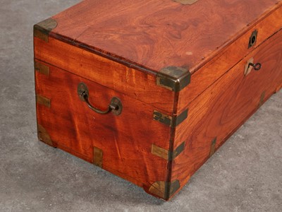 Lot 164 - Two camphorwood trunks
