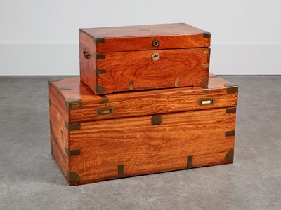 Lot 164 - Two camphorwood trunks