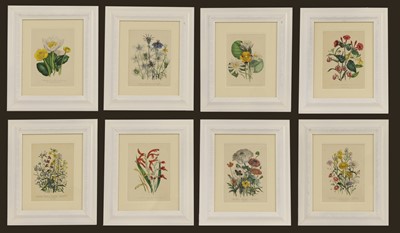 Lot 503 - Jane Webb Loudon (1807-1858)