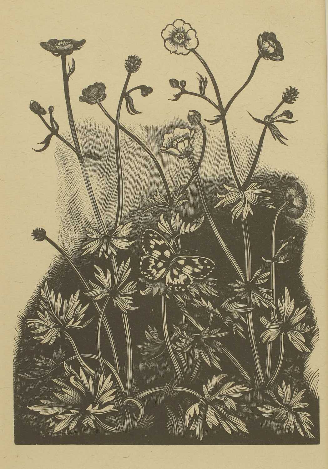 Lot 229 - John Nash RA (1893-1977)