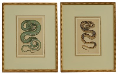 Lot 308 - Frederick Polydore Nodder (c.1751-1800) and Richard Polydore Nodder (1774-1823)