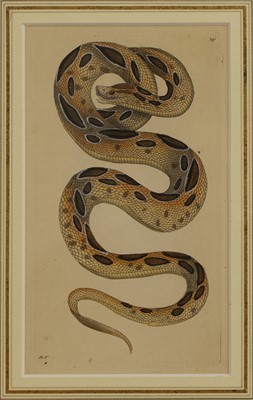 Lot 308 - Frederick Polydore Nodder (c.1751-1800) and Richard Polydore Nodder (1774-1823)