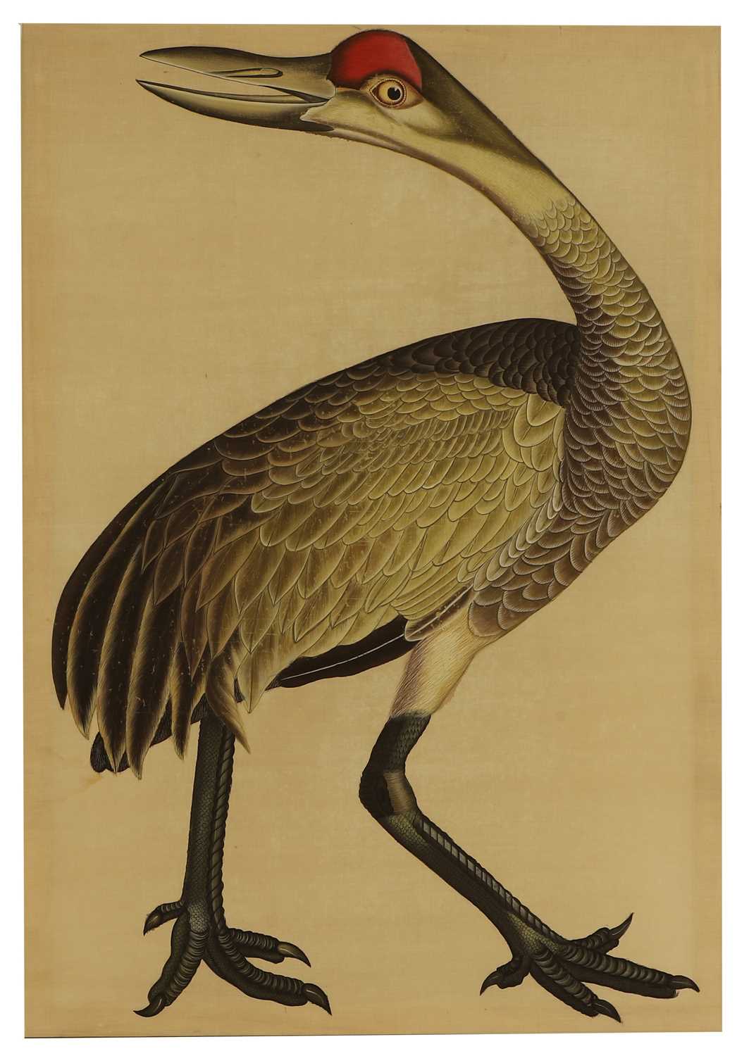 Lot 207 - A large Indian Company School painting of a sandhill crane