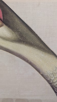 Lot 207 - A large Indian Company School painting of a sandhill crane