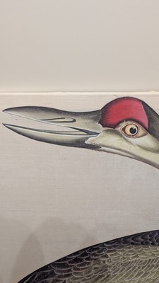 Lot 207 - A large Indian Company School painting of a sandhill crane