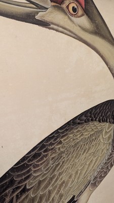 Lot 207 - A large Indian Company School painting of a sandhill crane