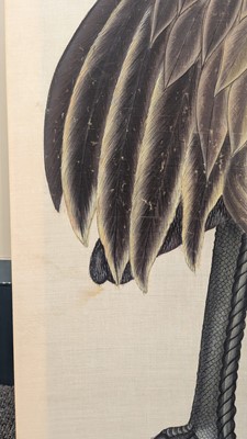 Lot 207 - A large Indian Company School painting of a sandhill crane