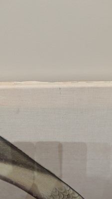 Lot 207 - A large Indian Company School painting of a sandhill crane