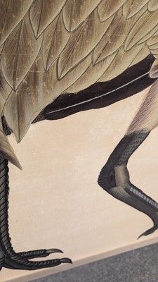 Lot 207 - A large Indian Company School painting of a sandhill crane