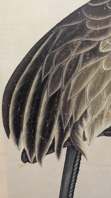 Lot 207 - A large Indian Company School painting of a sandhill crane