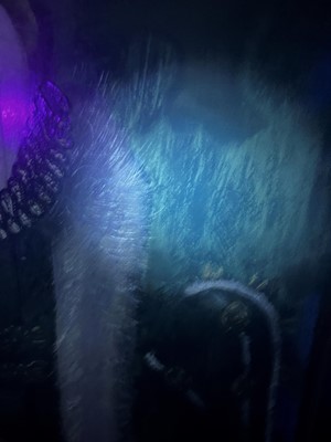 Lot 39 - English School, 17th century