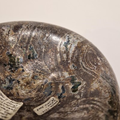 Lot 1 - An onion-shaped wine bottle