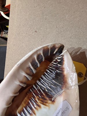 Lot 116 - A relief carved cameo conch shell