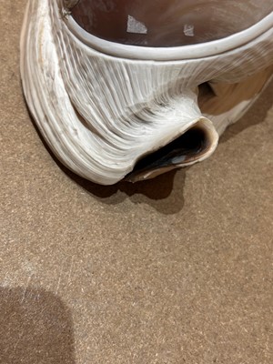 Lot 116 - A relief carved cameo conch shell