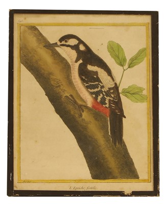 Lot 385 - François Nicolas Martinet (French, 1731-1800)