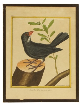 Lot 385 - François Nicolas Martinet (French, 1731-1800)