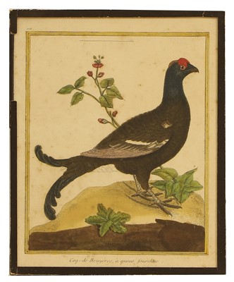 Lot 385 - François Nicolas Martinet (French, 1731-1800)