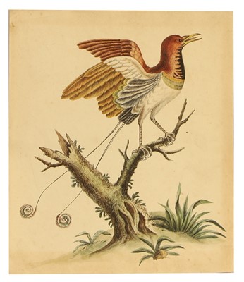 Lot 385 - François Nicolas Martinet (French, 1731-1800)