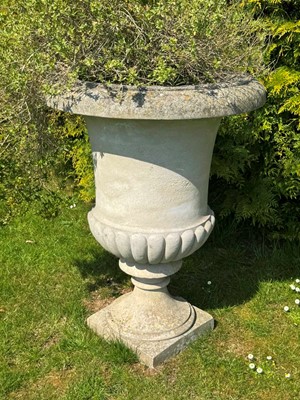 Lot 554 - A pair of large campagna urns